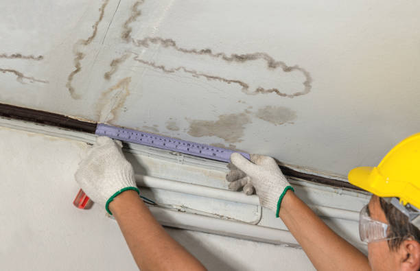 Reliable Flood Cleanup contractor in New Haven, MI by Water Damage Irwin